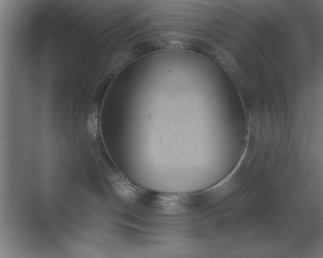 X0000070240190200606021139