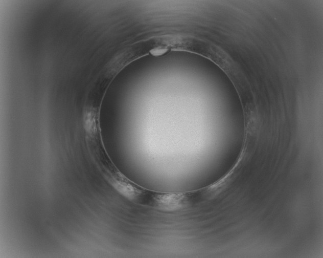 X0000070240191200606021139