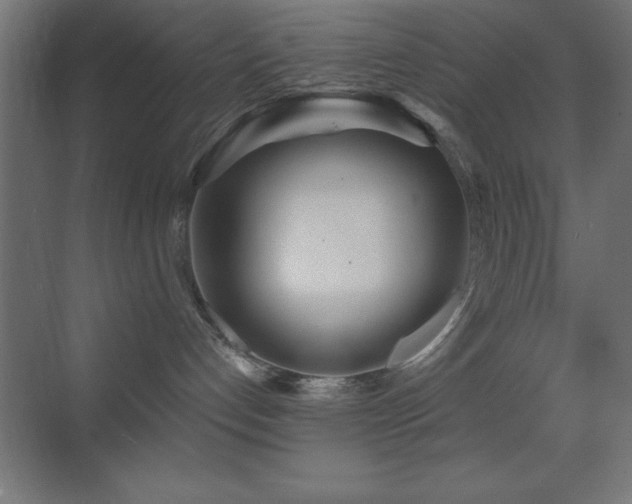 X0000070240192200606021139