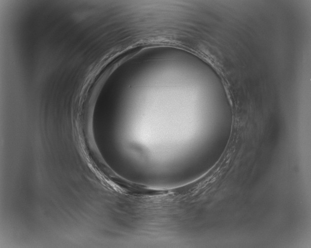 X0000070240193200606021139