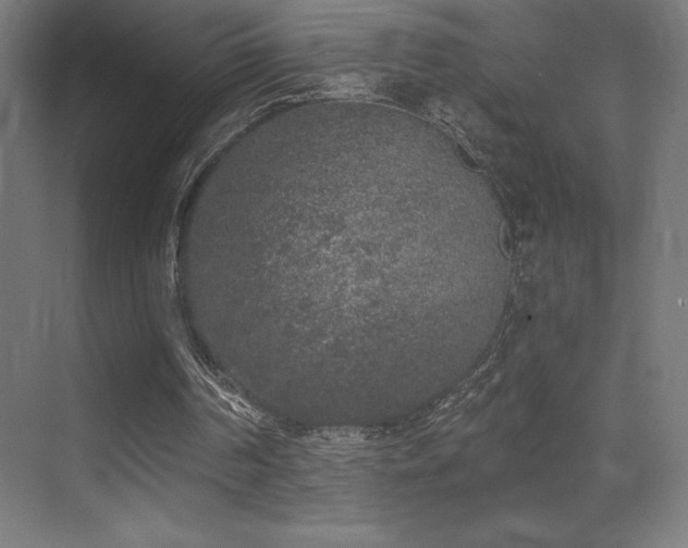 X0000070240194200606021139