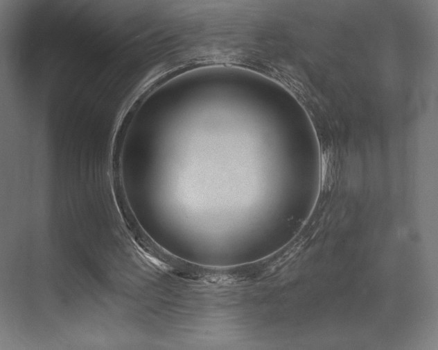 X0000070240195200606021139