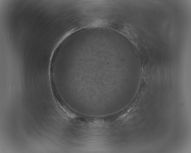 X0000070240196200606021139