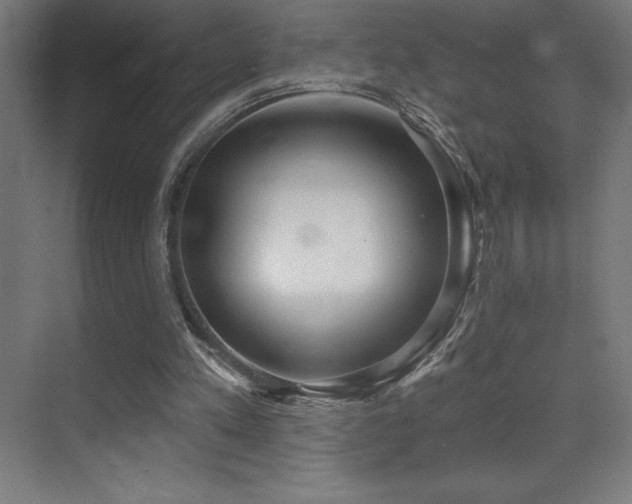 X0000070240197200606021139