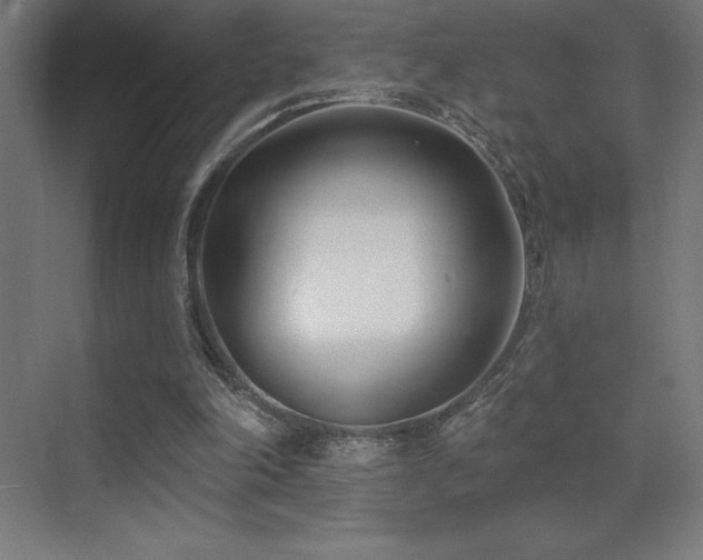 X0000070240198200606021139