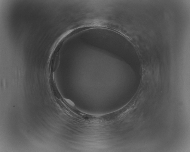 X0000070240200200606021139