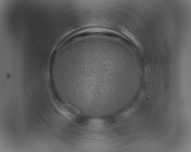 X0000070240203200606021138