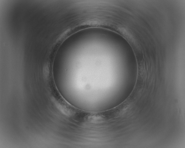 X0000070240208200606021138