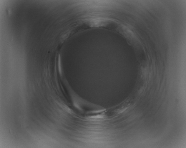 X0000070240219200606021138