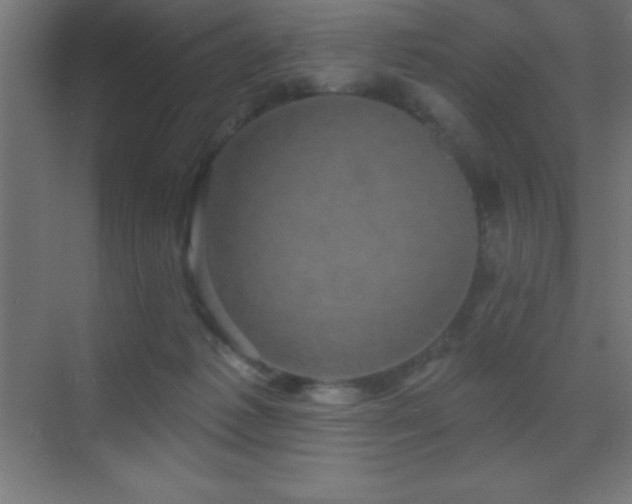 X0000070240221200606021138