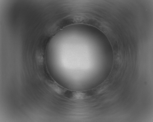 X0000070240226200606021138
