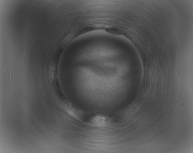 X0000070240227200606021138