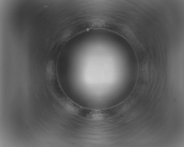 X0000070240228200606021138