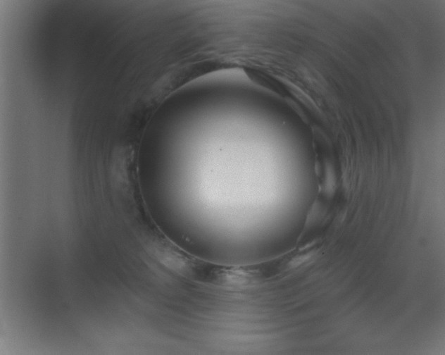 X0000070240229200606021138