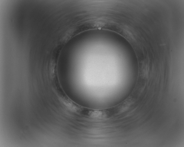 X0000070240230200606021138