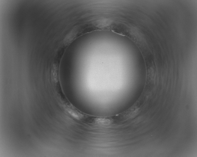 X0000070240234200606021138