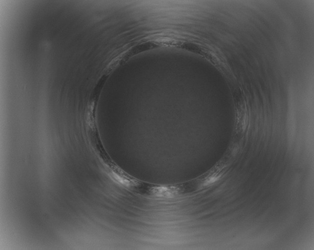 X0000070240239200606021138