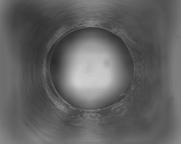 X0000070240242200606021137