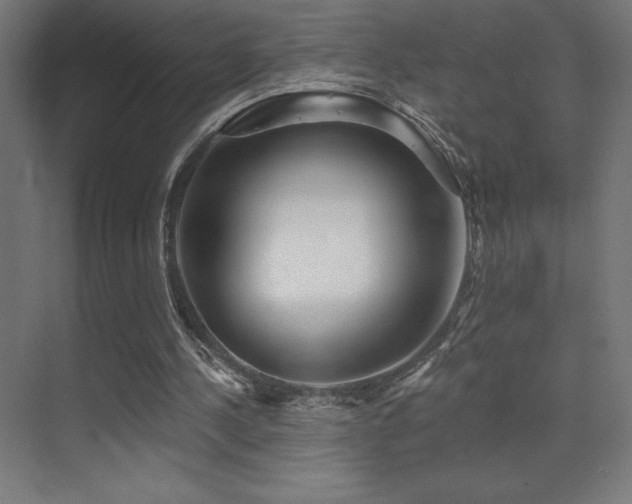 X0000070240244200606021137