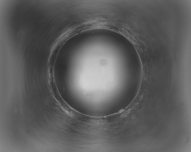 X0000070240245200606021137