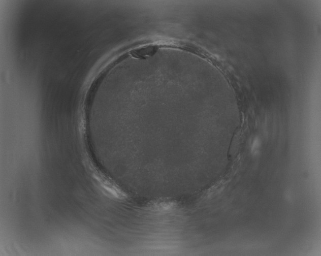 X0000070240247200606021137