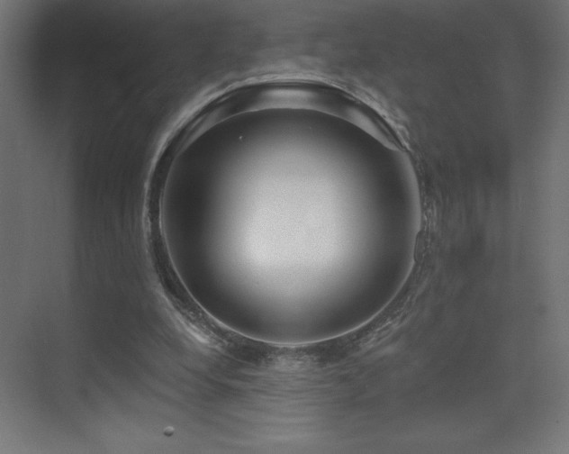 X0000070240248200606021137