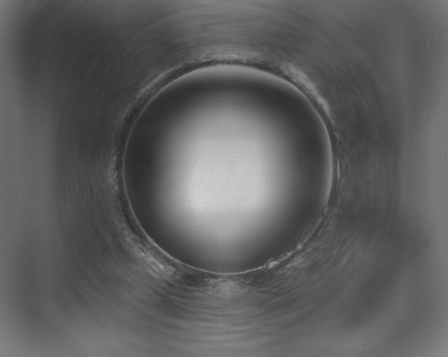 X0000070240249200606021137