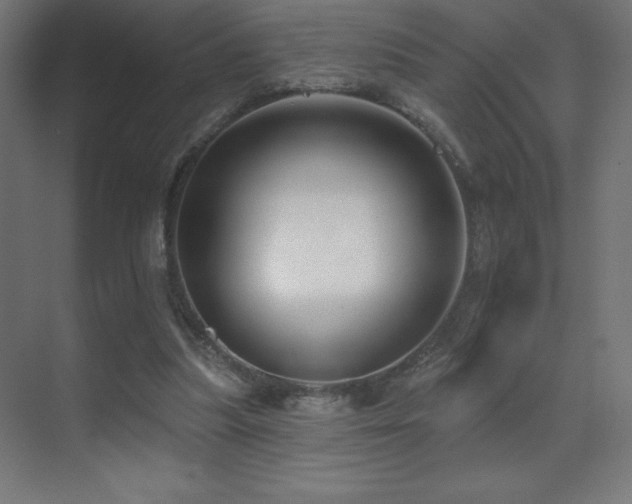 X0000070240251200606021137