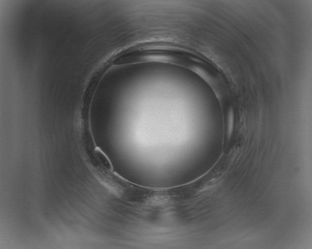 X0000070240252200606021137