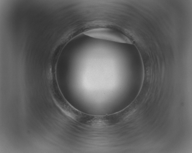 X0000070240254200606021137