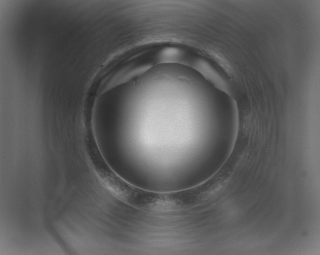X0000070240256200606021137