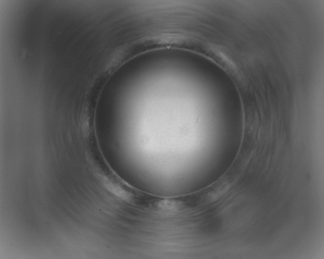 X0000070240261200606021137