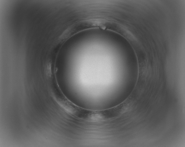 X0000070240262200606021137