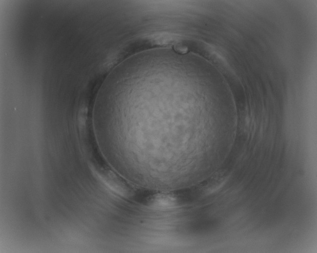 X0000070240263200606021137