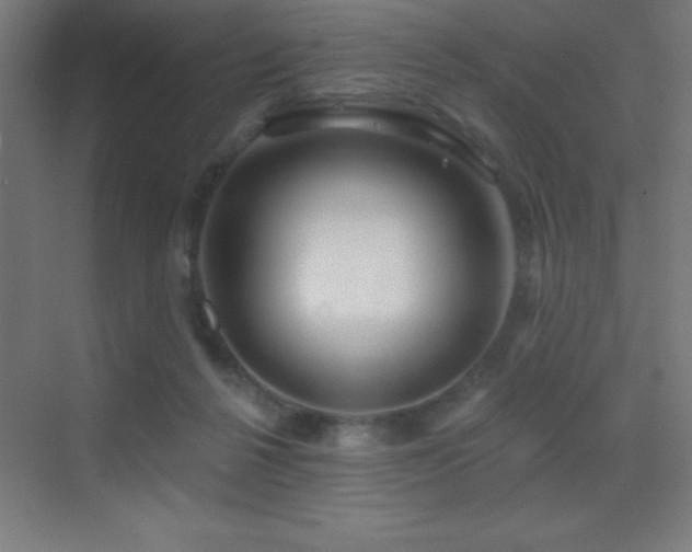 X0000070240264200606021137