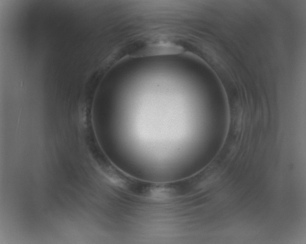 X0000070240268200606021138