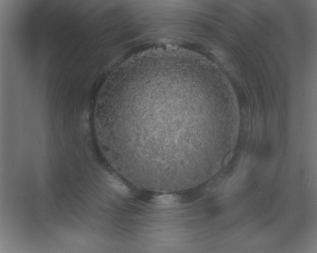 X0000070240269200606021138