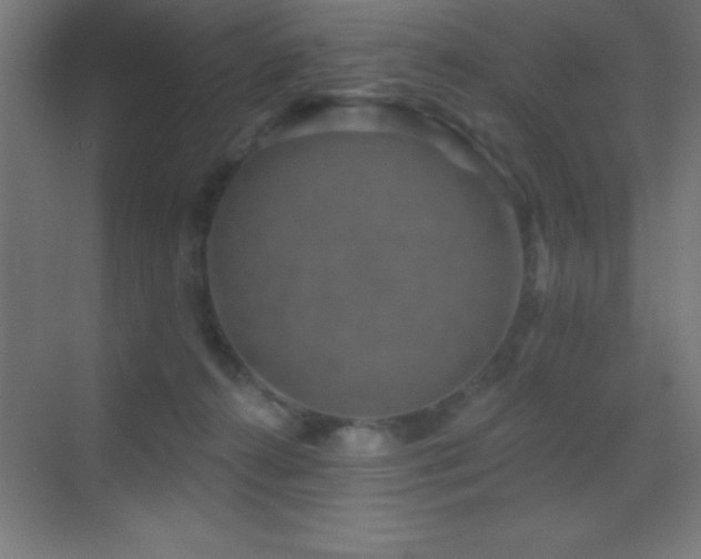 X0000070240272200606021138