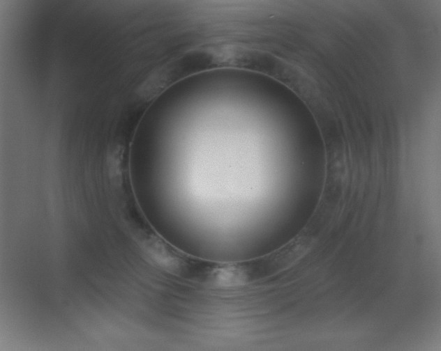 X0000070240275200606021138