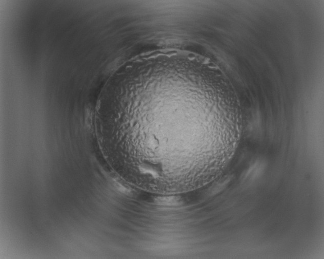 X0000070240281200606021138