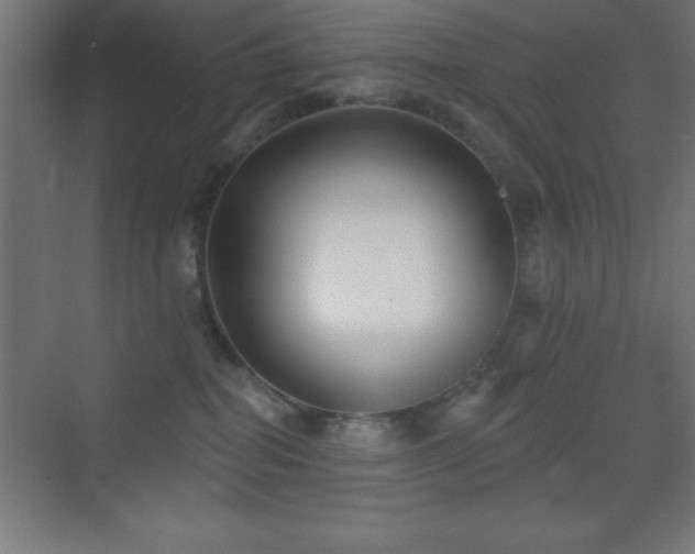 X0000070240282200606021138