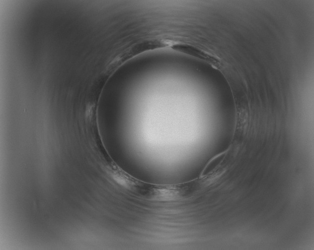 X0000070240286200606021138