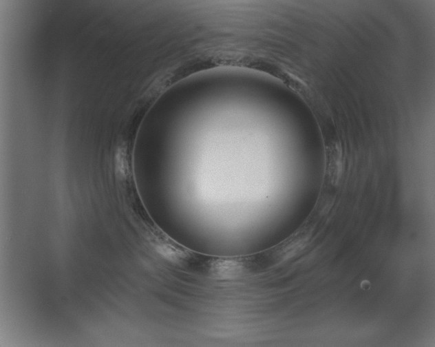 X0000070240287200606021138