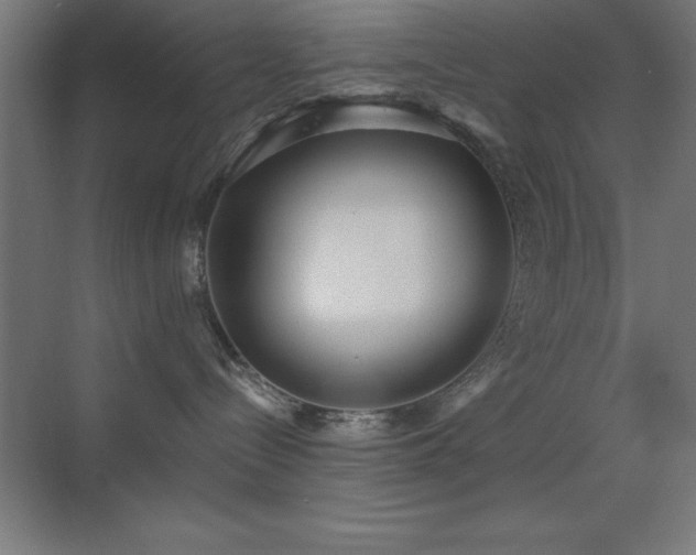 X0000070240288200606021138