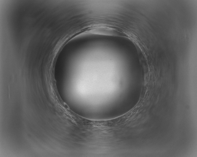 X0000070240289200606021137