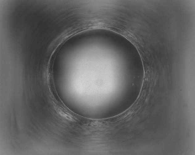 X0000070240290200606021137