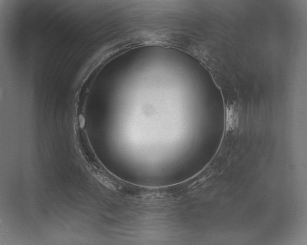 X0000070240291200606021137