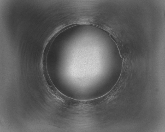X0000070240292200606021137