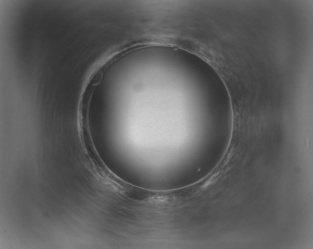 X0000070240294200606021137