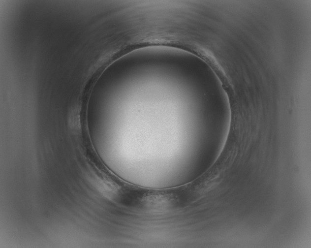 X0000070240299200606021137